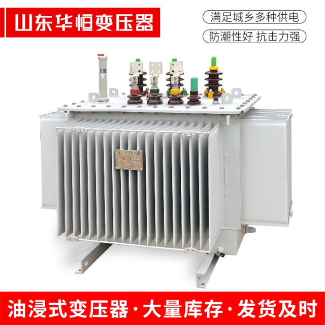 S13-10000/35盐亭盐亭盐亭电力变压器